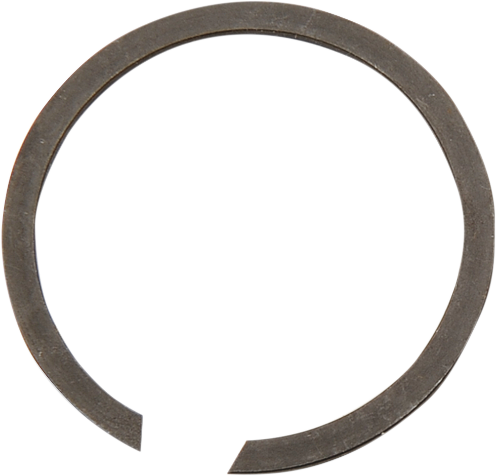 11060081_2.png