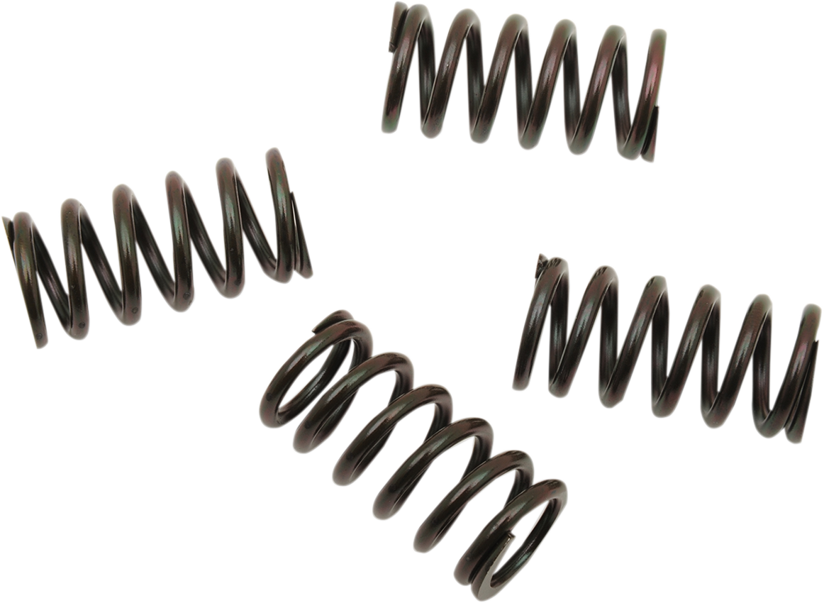 11310635_0.png