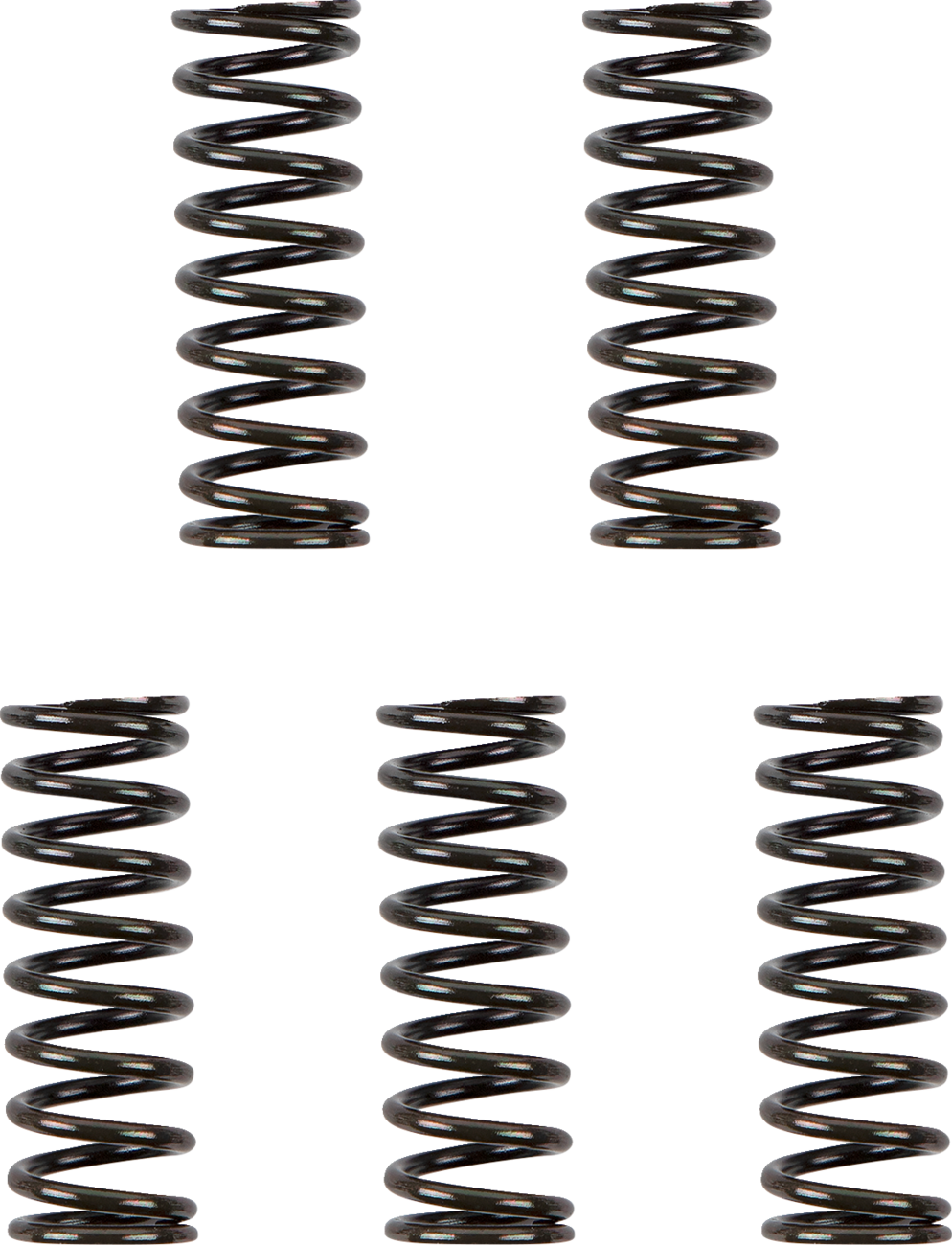 11312299_0.png