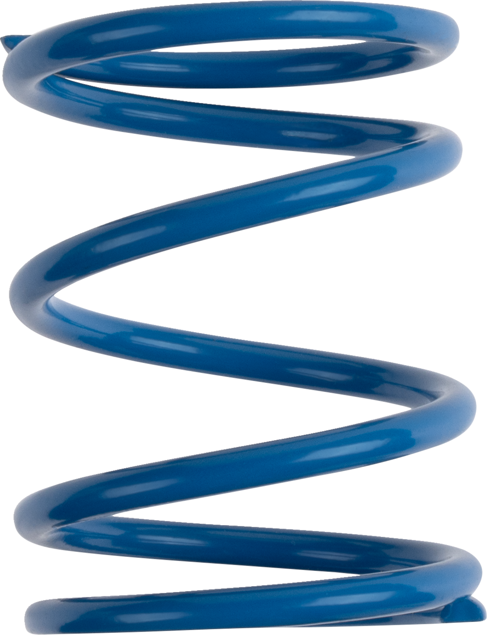 11400890_0.png