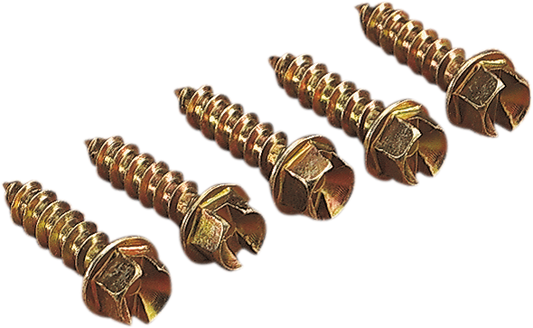 12500053_0.png