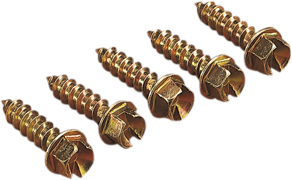 12500061_0.png