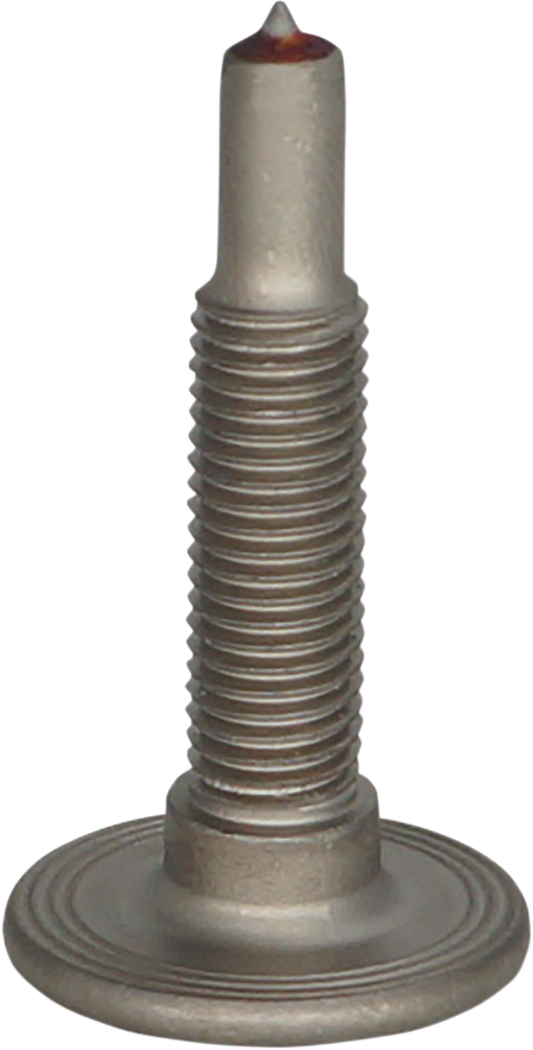 12500278_0.png
