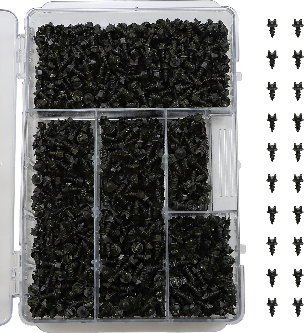 12500646_0.png
