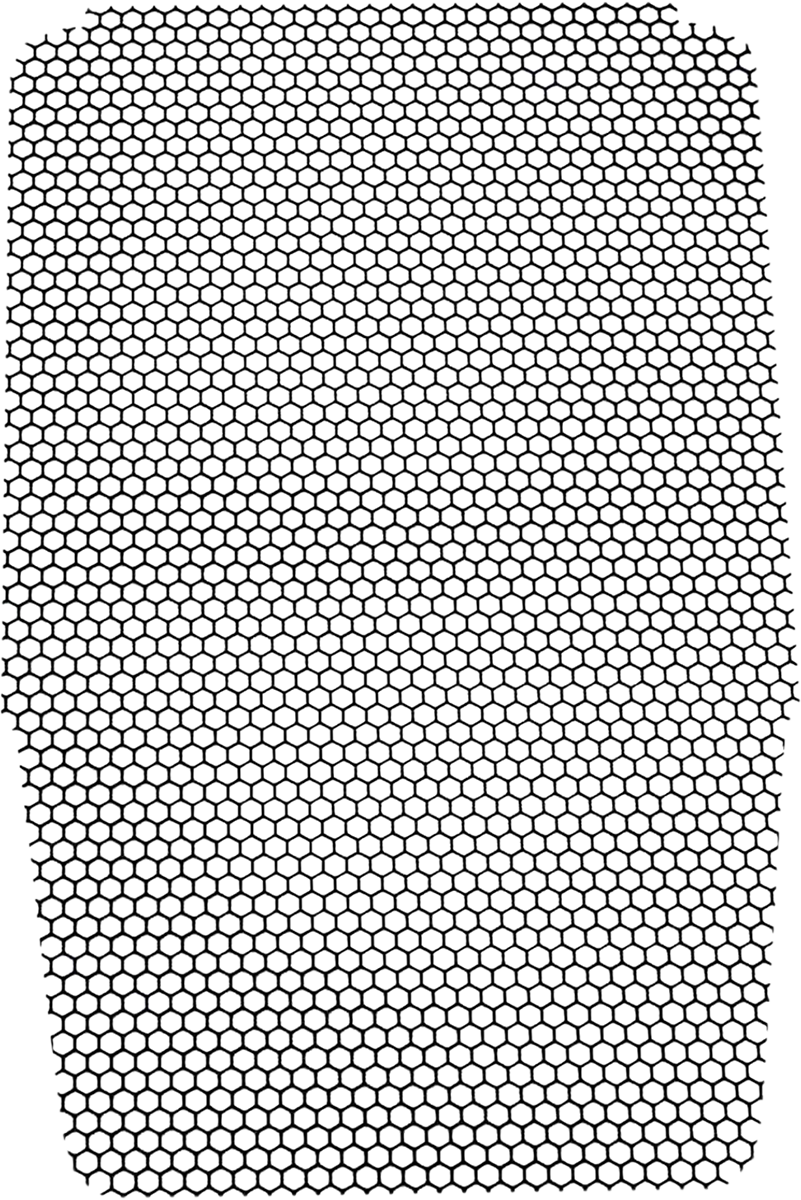 19040092_2.png