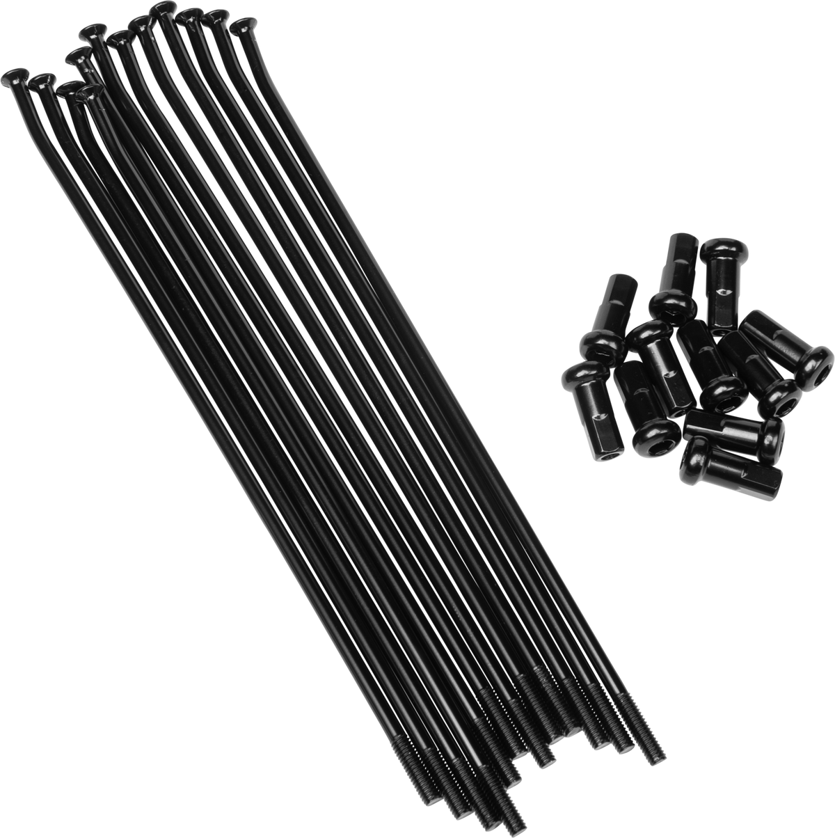 1ac6-6a91bf3921c42.png