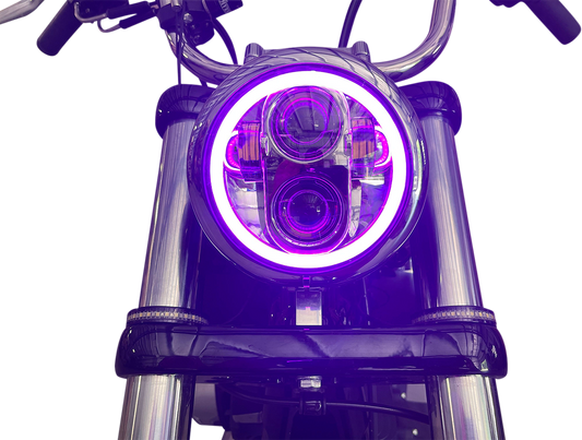 20012481_1.png