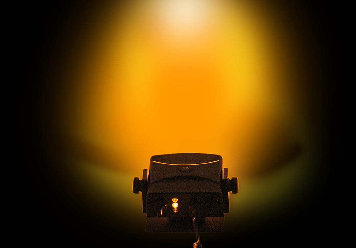 20402031_1.png