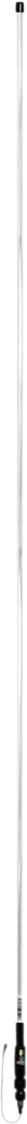 20402701_0.png
