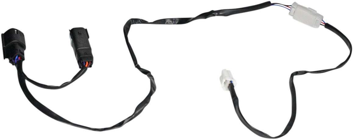 20500386_1.png