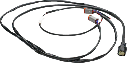 21201246_0.png