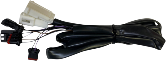 21300304_0.png