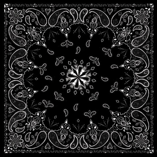 2456-572a5f03cd036.jpg