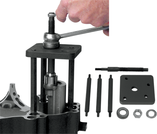 38010085_0.png