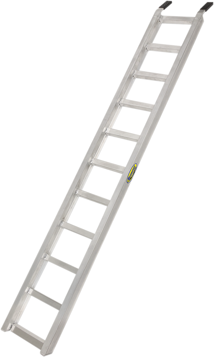 39100069_1.png