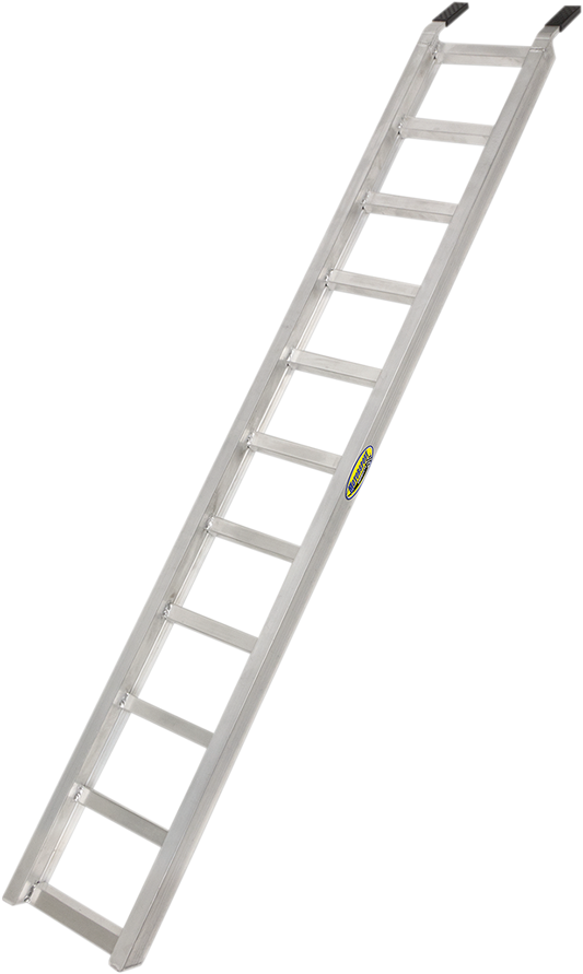 39100069_1.png