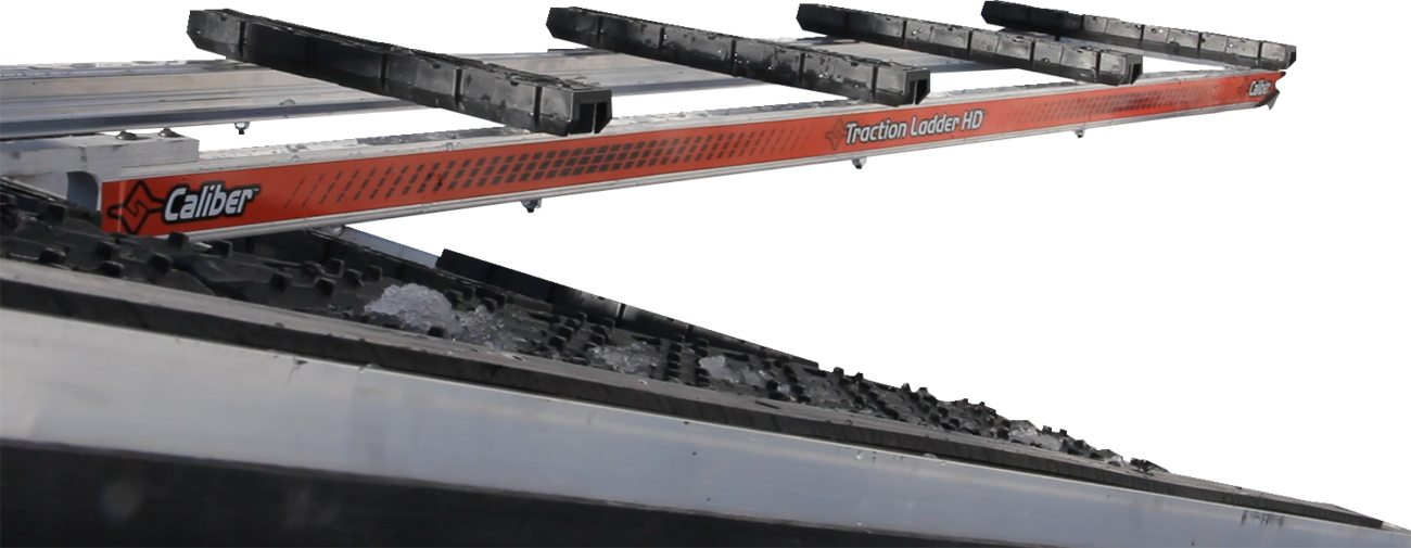 39100106_0.png