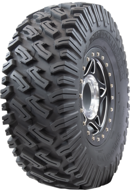 6f54-62db1d9cdf275.png