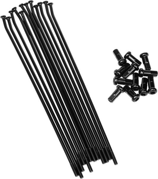 9360-6a91c55c88331.png