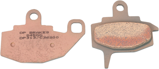 DP313_0.png