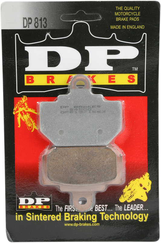 DP813_1.png