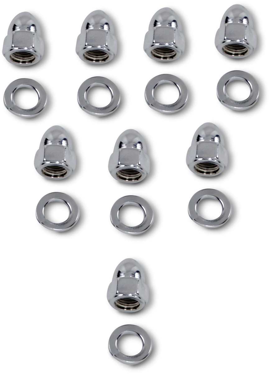 DS190137_0.png