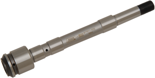DS193819_0.png