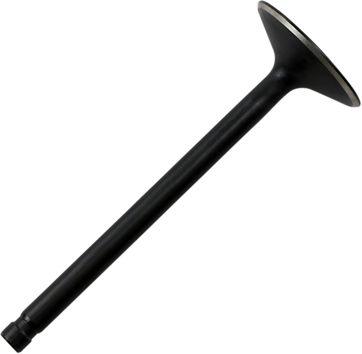DS198806_0.png