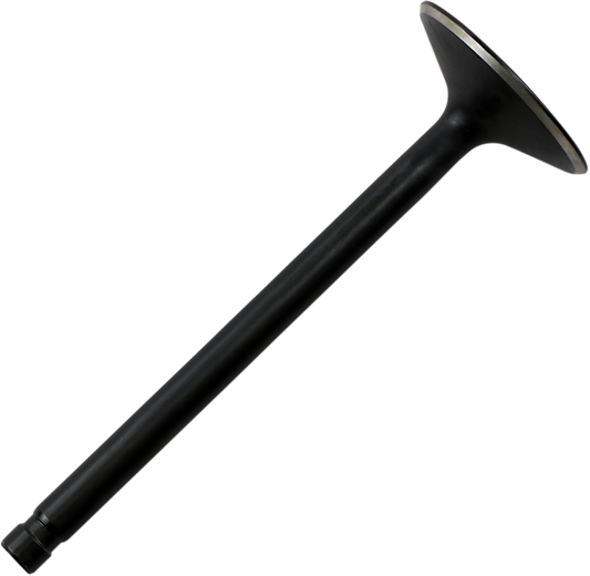 DS198806_0.png
