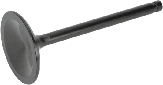 DS198806_1.png