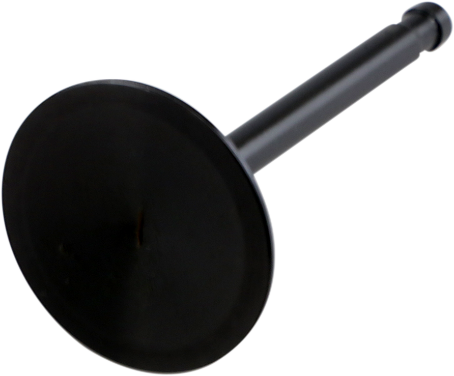 DS198962_0.png