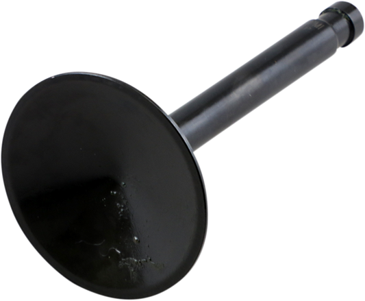 DS198971_0.png