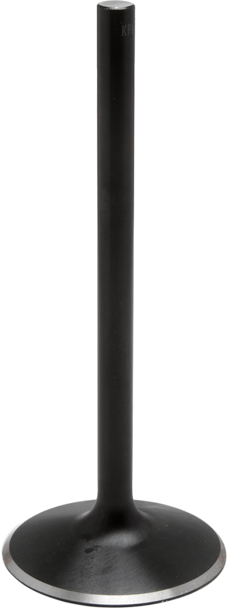 DS198974_0.png