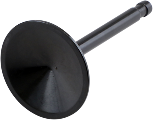 DS198975_0.png