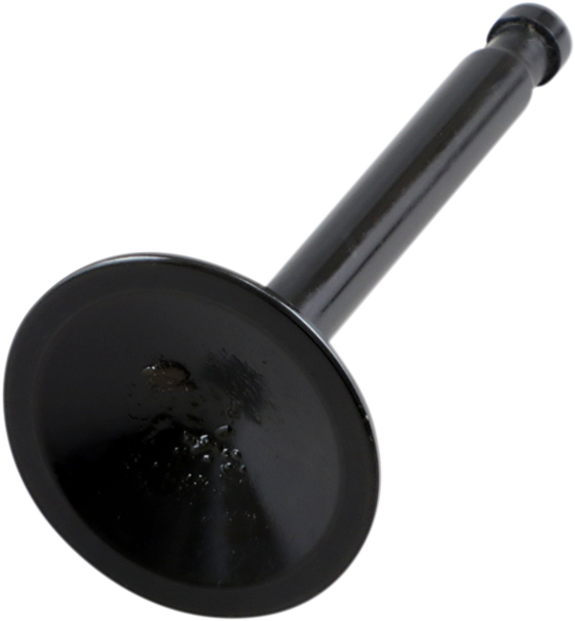 DS198976_0.png