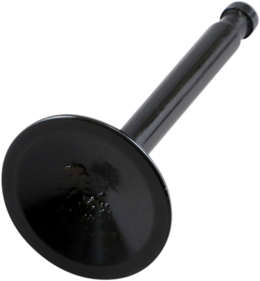 DS198976_0.png