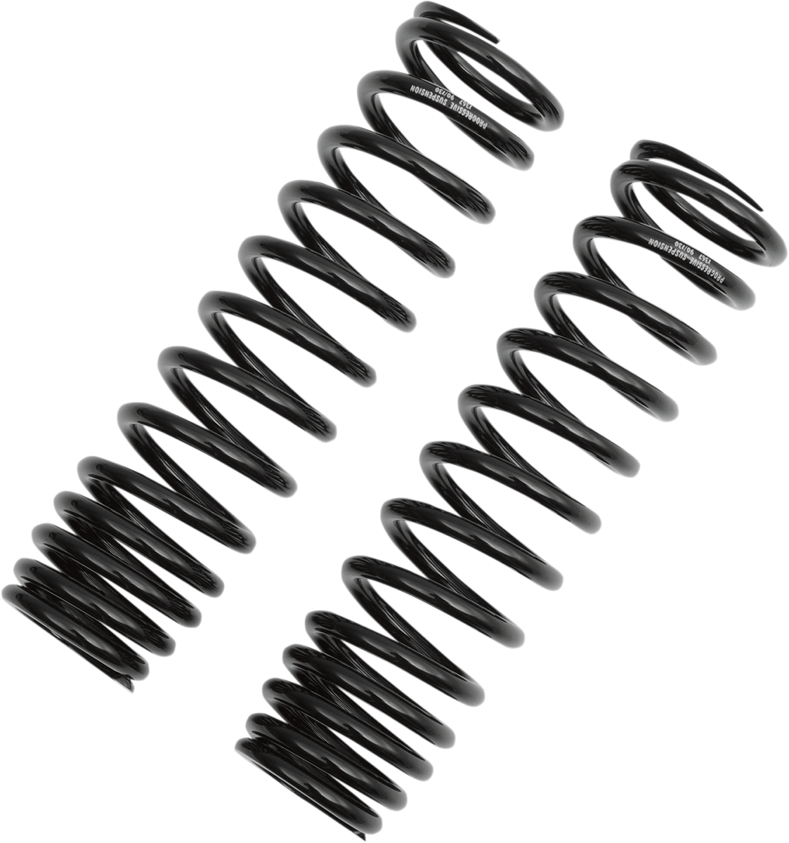 DS310031_0.png