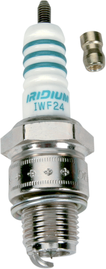 IWF24_0.png