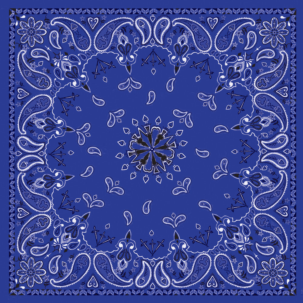 BANDANNA BLACK PAISLEY