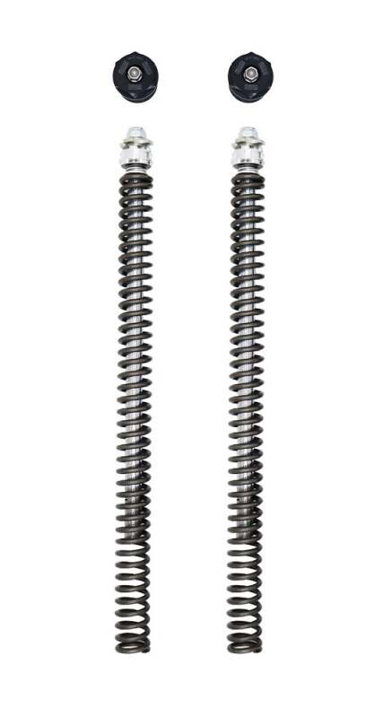 Photo - Primary