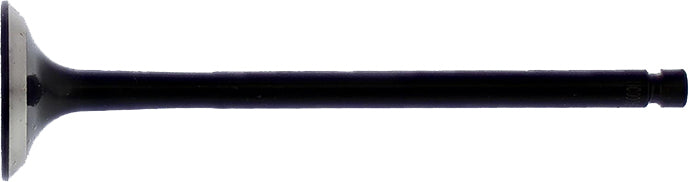 e6bb-5ceea95e71ded.jpg