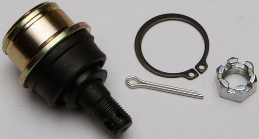 f107-572a5e500bffb.jpg