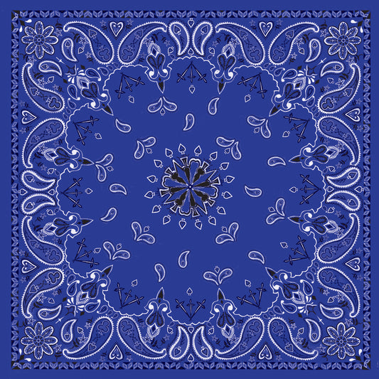 f2e2-572a5f0460155.jpg