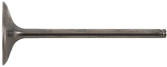 f406-5d4ad3303d9b3.jpg