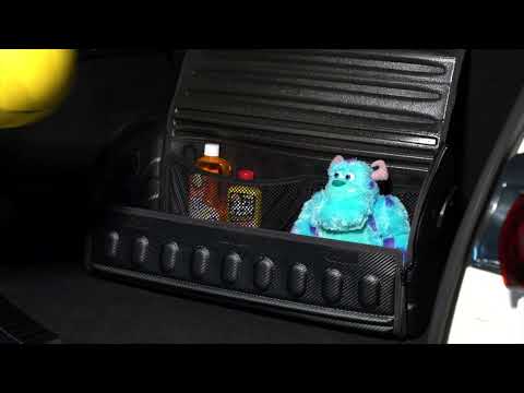 Video File